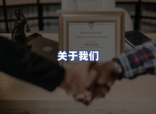 专业团队